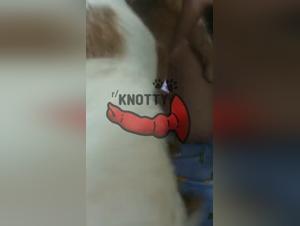 Beastiality - Animal Porn Sexy Female fucks Dog