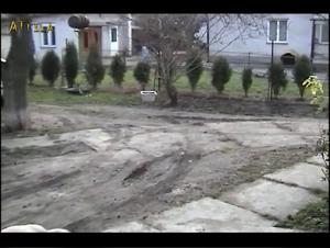 Extreme Bestiality: The Lover and the Flaming Dog