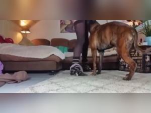 Bestiality Sex With A Real Couple