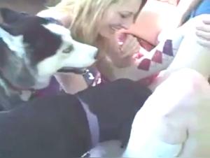 Vidéo de sexe bestial : Extase avec un chien 22