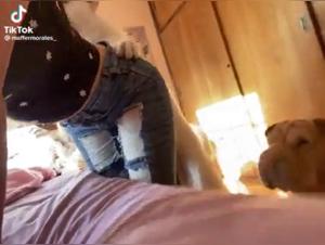 Wild encounters: TikTok zoo and bestiality