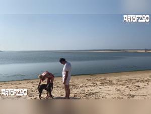 Forbidden Intimacy: Dog BJ Unveiled