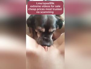 Polish woman and her dog in bestiality sex video