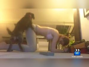 Bestiality sex video: dog humping dancer