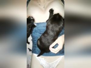 Canine Breast Milk: An Intense Zoophile Experience