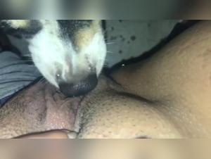 bestiality video zooxnxx