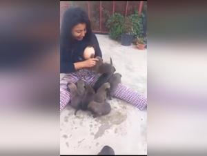 love between human and dog