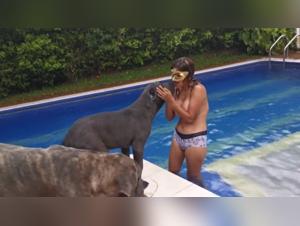 Rainy day and dog - A beastly encounter