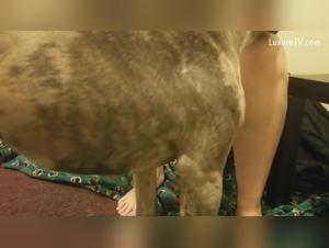 Bestial Encounter: Woman and Dog