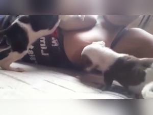 breastfeeding two puppies 1