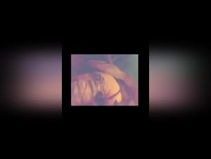 Woman and dog: a beastly encounter on video