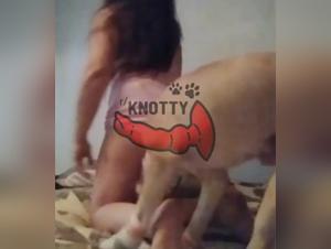 The sexy cat who fucks her dog - Intense bestiality
