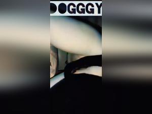 Bestiality Sex Video: Woman and Dog