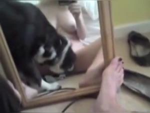 Adorable adolescente et son chien dans une scène de zoophilie choquante