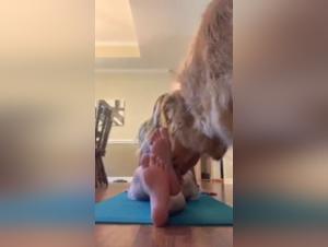 Bestial encounter: blonde woman and dog