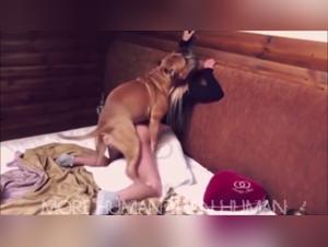 Pushed Limits in Intimacy with Bestiality