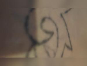 dog milk extreme experience