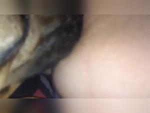 Vidéo de Sexe avec Chien - Bestialité Zoophile
