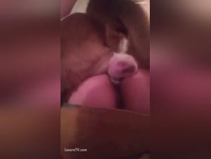 The Most Exciting Experience at the Zoo: Bestiality