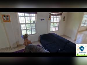 Artofzoo HD: Delving into Zoophilia