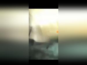 Unrefined Pleasure: Dog Sex and Female Orgasms Unleashed