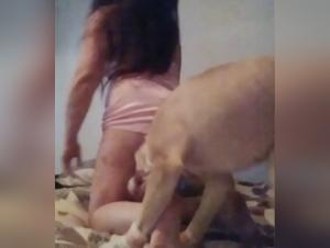 Bestiality: a woman and her dog