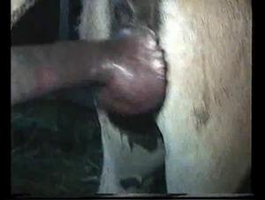 Zoophilia and Bestiality - Horses