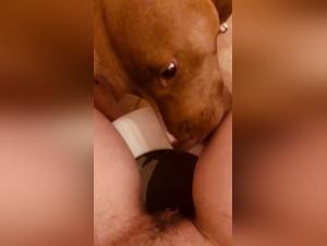 Amateur Video: An Exciting Sexual Experience with Her Dog