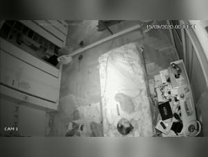 Bestiality sex video: Man and dog in a hard scene