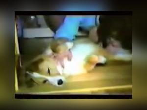 Vintage bestiality: a Japanese dog lover