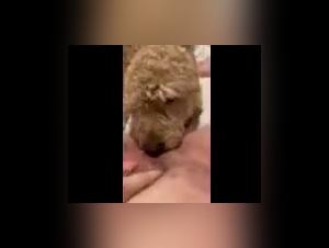 Mommy's Unexpected Relationship with Her Dog