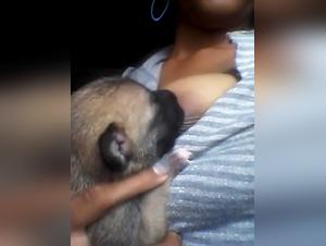 Bestial Experience: Milking