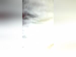 Woman and dog: a shocking story of bestiality (continued)