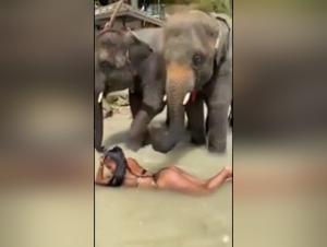 Bestiality Video: Woman and Horse