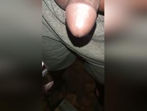 hidden encounters: animal intimacy