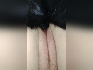 Amateurhund - Intime Momente mit Hunden