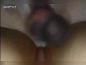 Naughty encounter with a dog: an intense bestiality sex video