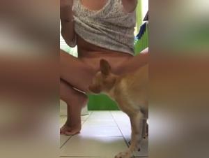 Bestial and intense encounter with Hot Dog 14