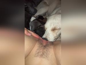 Decoding Forbidden Desire: A Look into Zoophilia