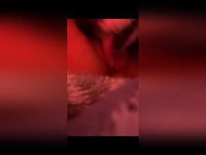 Zoo art: Shocking Realta