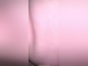 understanding zoophilia: content realities explored