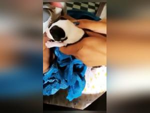 Woman and Dog: A Forbidden Encounter