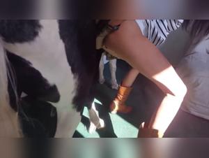 First Zoophilia Experience with an Amateur Woman and a Horse