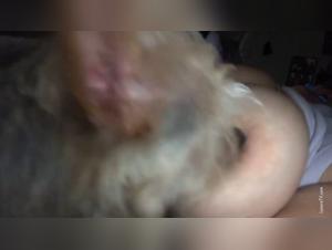 Intimate Moment: female dog and Pussy Unite