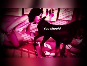 canine sex and dog cumming