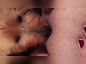 Sex with Dog Video - Extreme Zoophilia