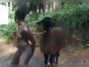 Black woman and dog in a bestial relationship