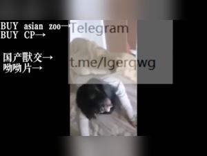 Asian woman subjected to dog love