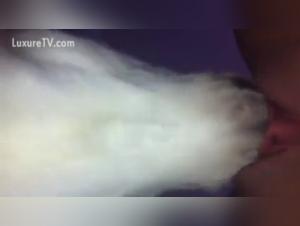 Shocking bestiality: a woman and her dog