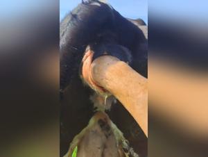 naughty vacation memories